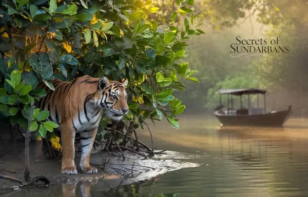SUNDARBAN