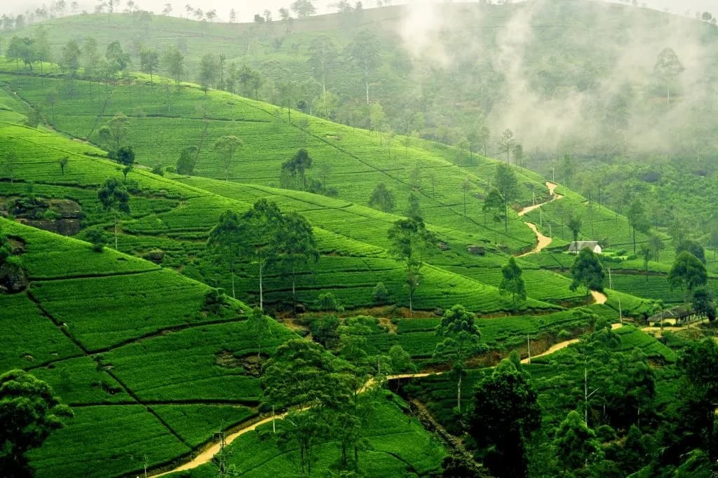 Sylhet